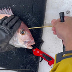 ベルモント Belmont フィッシュピック FISH PICK 一撃 MG（MP-167ブラック / MP-168ブルー / MP-169レッド）