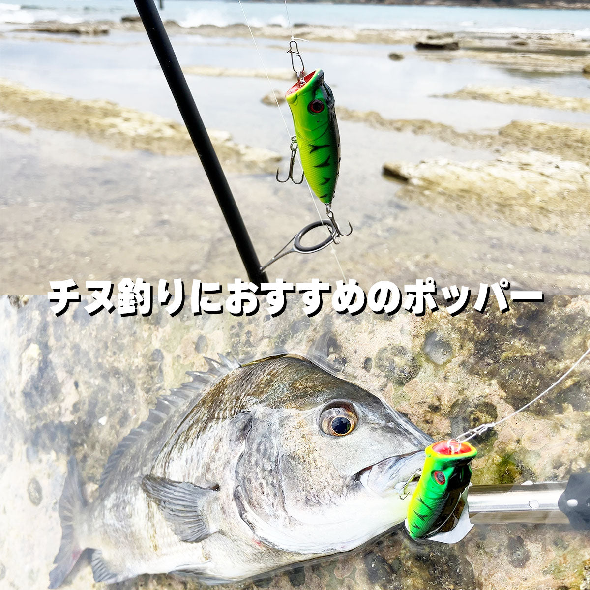 Fishing Japan（フィッシングジャパン）釣りアウトドア専門店