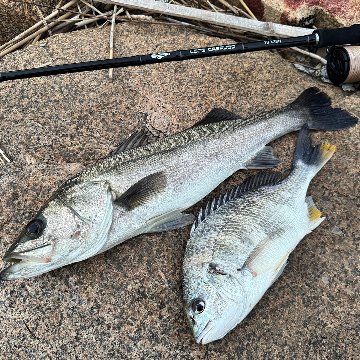 ロングキャスルド 13ft XXXH」ロッド – Fishing Japan