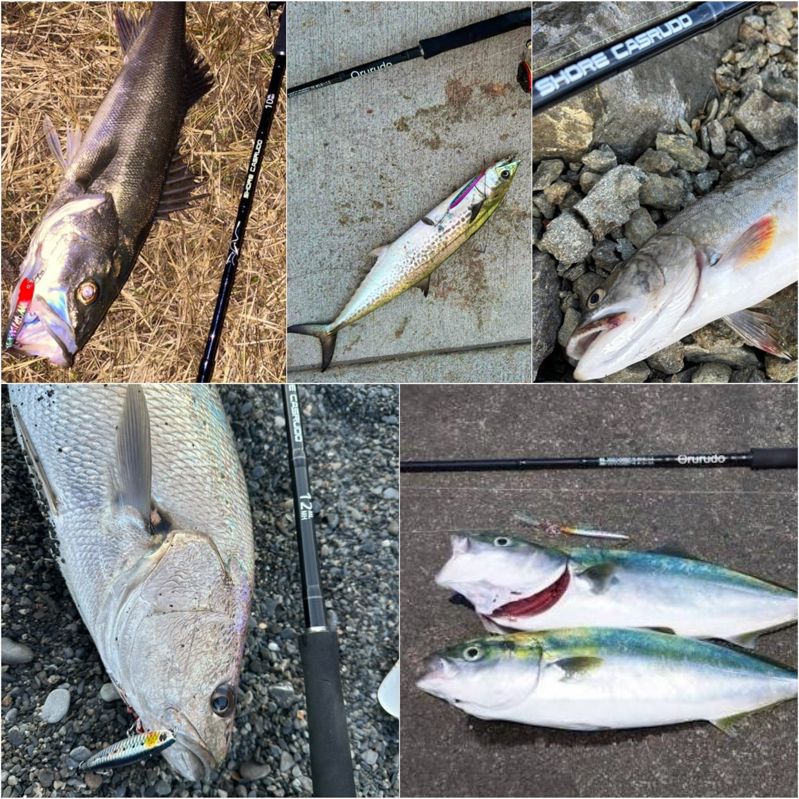 Fishing Japan（フィッシングジャパン）釣りアウトドア専門店