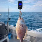 「ハカルドA」フィッシング用 デジタルスケール 最大50kg 吊り下げ式（選べるセット / カラー）
